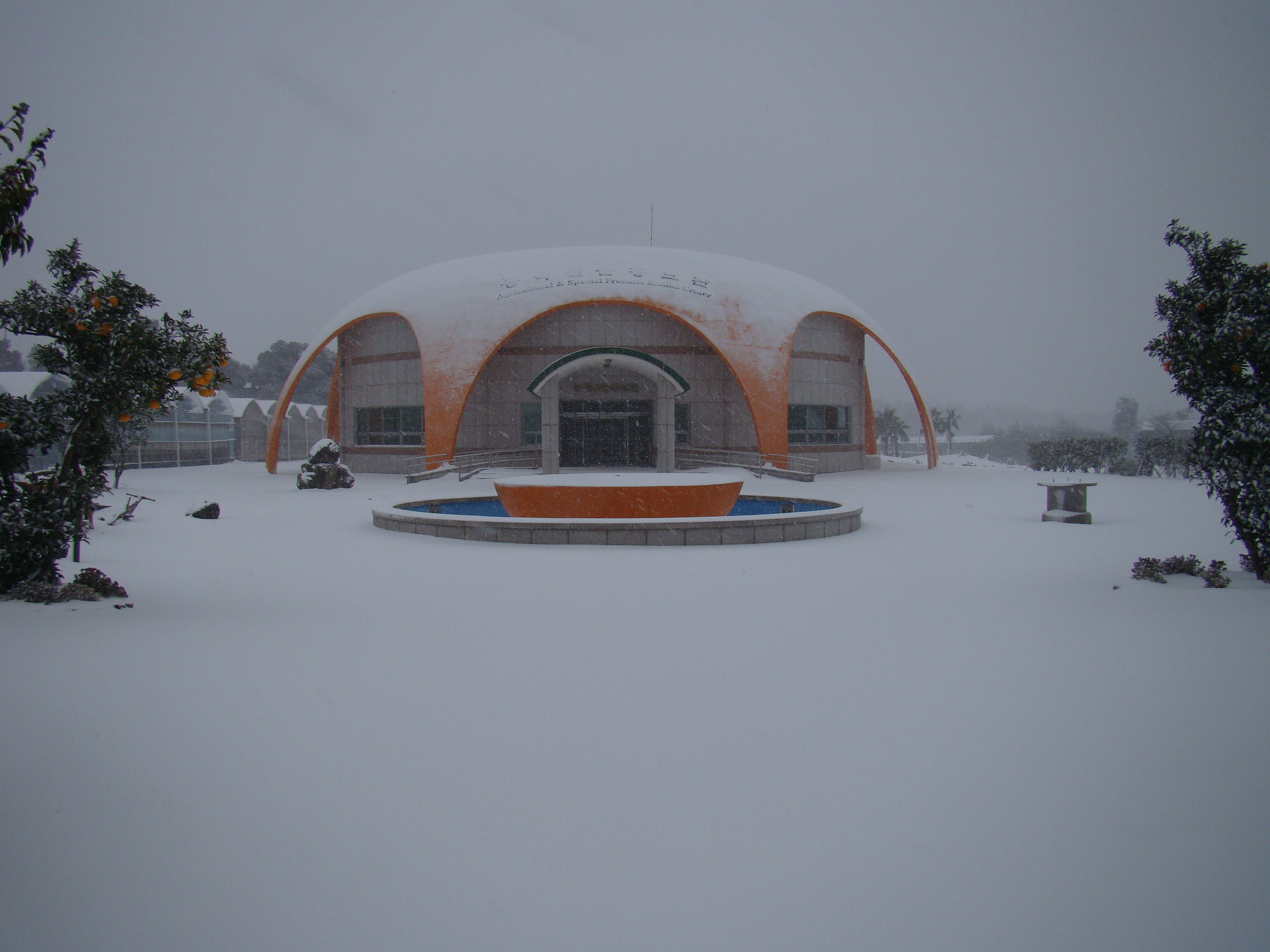 서귀포농업기술센터 겨울사진입니다. 서귀포에도 이렇게 눈이 내리네요!!!